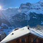Snowflake By Interhome شقة جريندلوالد