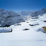 Snowflake By Interhome Appartement *