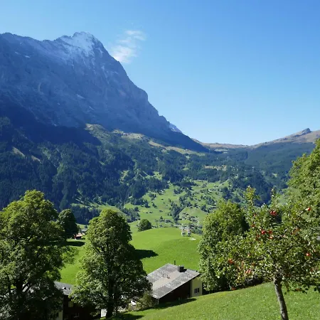 Apartamento Snowflake By Interhome *