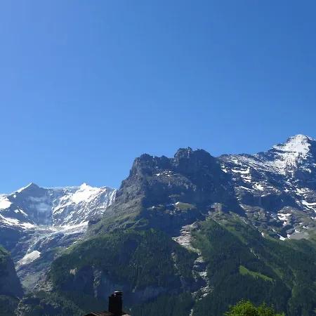 Snowflake By Interhome Appartement Grindelwald