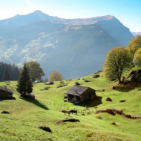 Snowflake By Interhome Apartamento Grindelwald