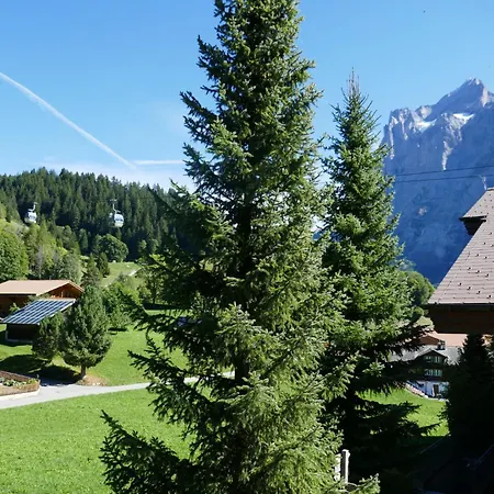 Snowflake By Interhome Appartement *