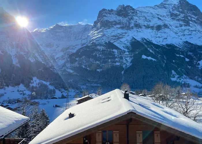 Snowflake By Interhome Apartamento Grindelwald