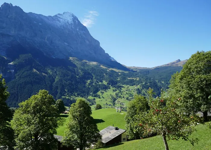 Apartamento Snowflake By Interhome *