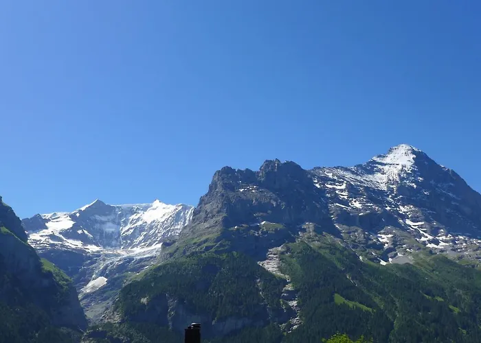 Snowflake By Interhome Apartamento Grindelwald