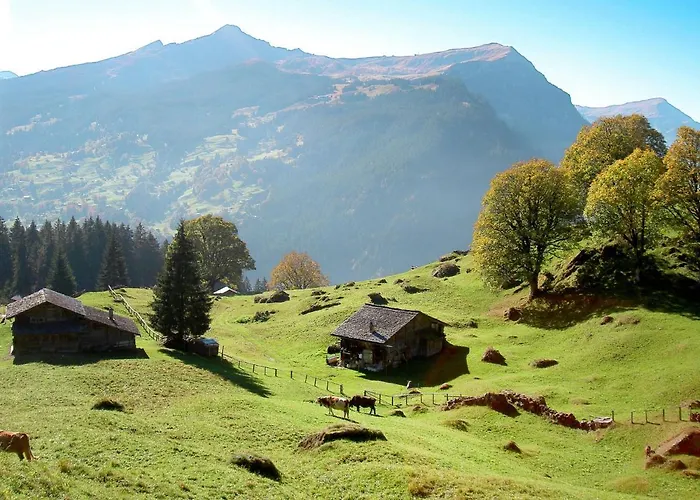 Snowflake By Interhome Apartamento Grindelwald
