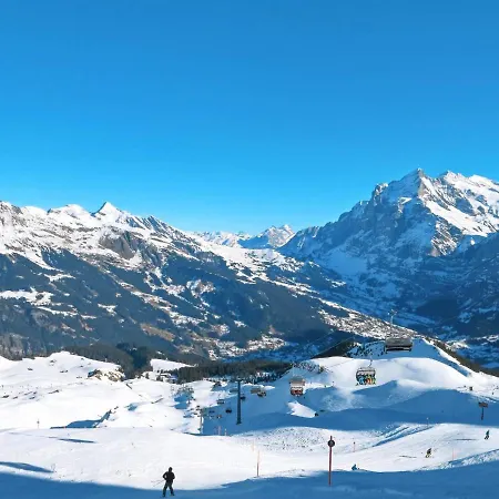 Snowflake By Interhome * Grindelwald